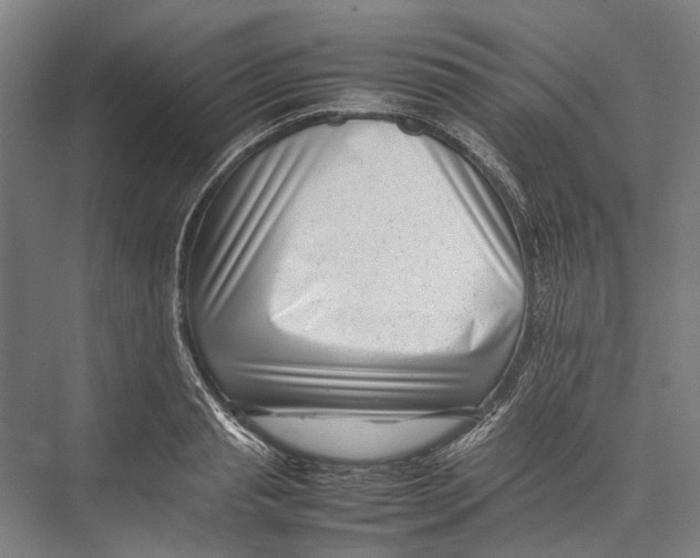 X0000075360845200610061745