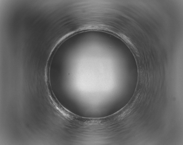 X0000075360846200610061745