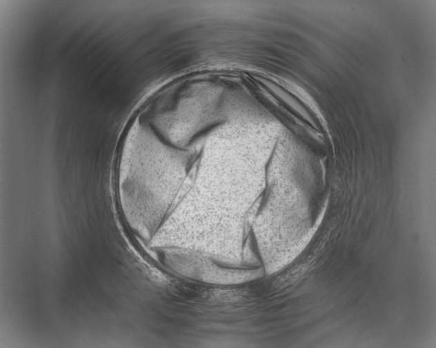 X0000075360847200610061745