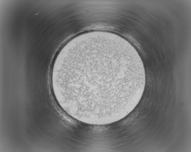 X0000075360848200610061745