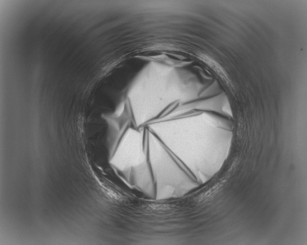 X0000075360849200610061745