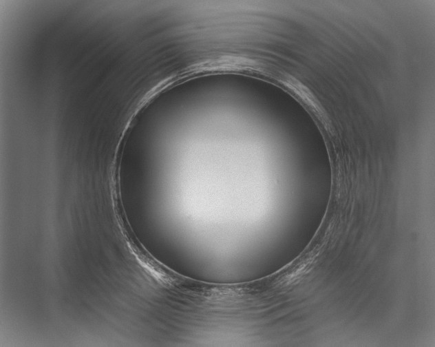 X0000075360850200610061745