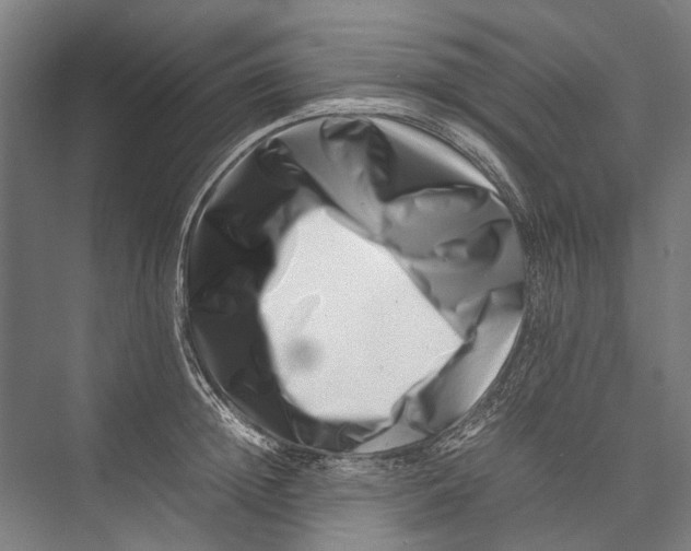 X0000075360852200610061745