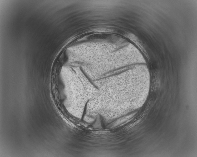 X0000075360853200610061745