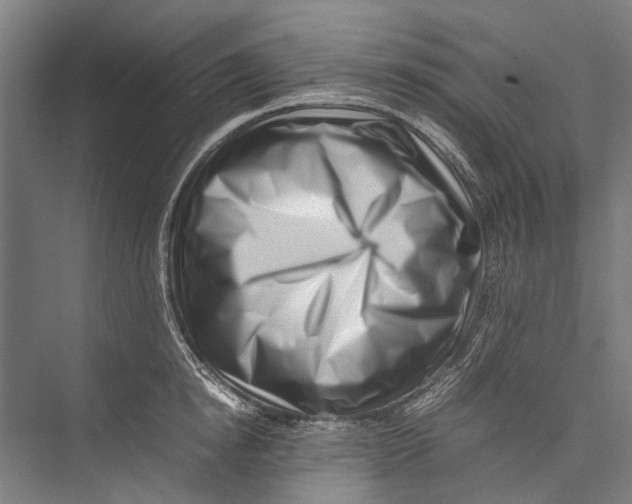 X0000075360854200610061745