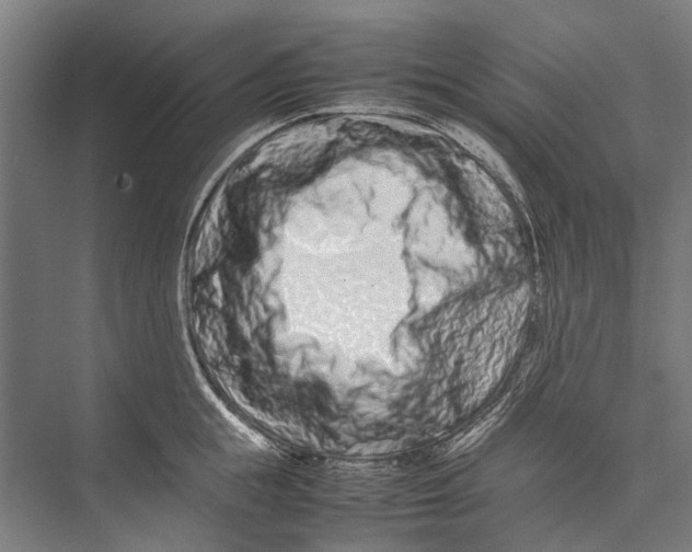 X0000075360855200610061745