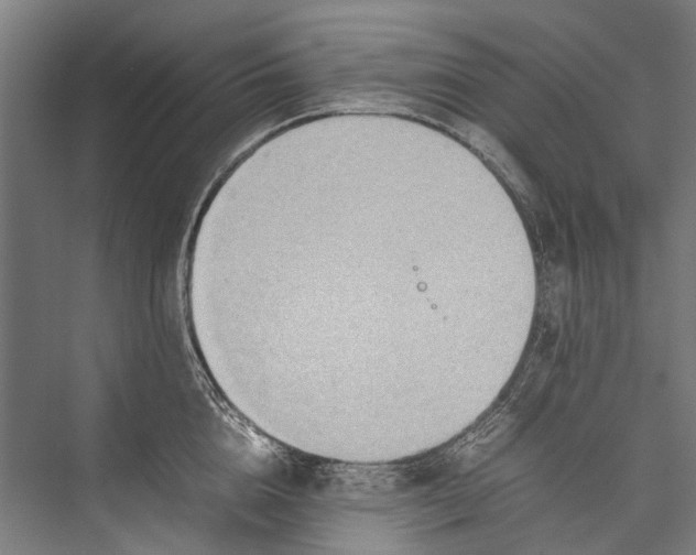 X0000075360856200610061745