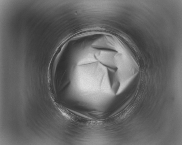 X0000075360858200610061745