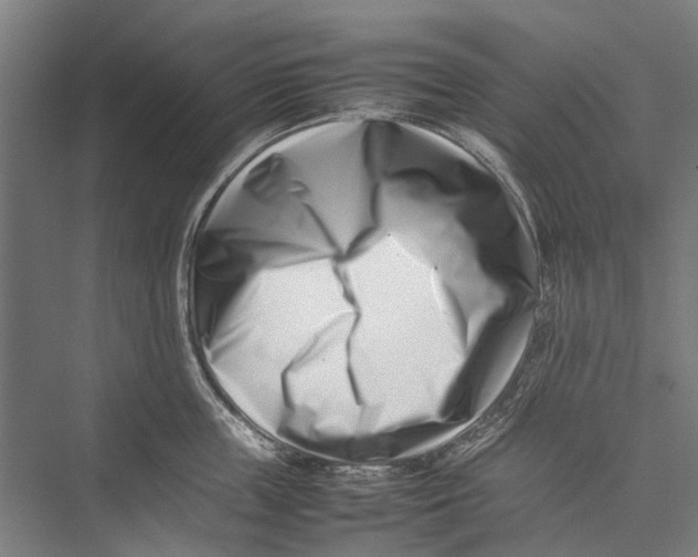 X0000075360859200610061745