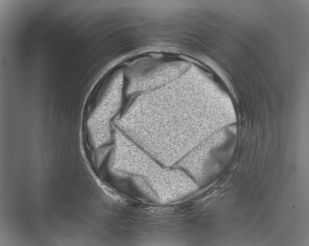 X0000075360861200610061745