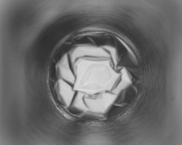 X0000075360862200610061745