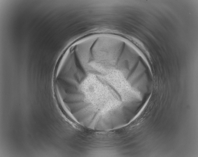 X0000075360863200610061745