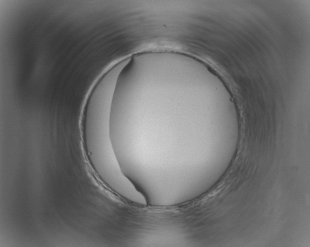 X0000075360864200610061745