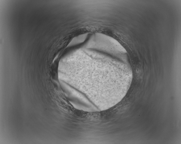 X0000075360865200610061744