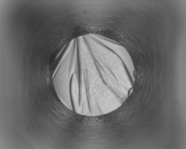 X0000075360866200610061744