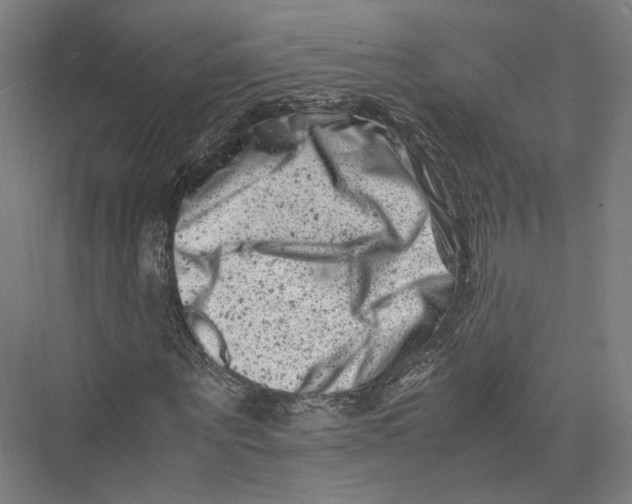 X0000075360867200610061744