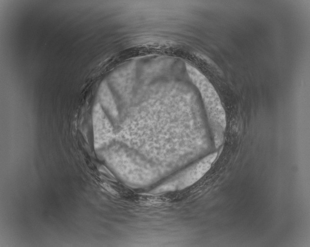 X0000075360869200610061744