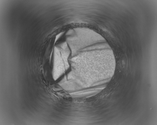 X0000075360870200610061744