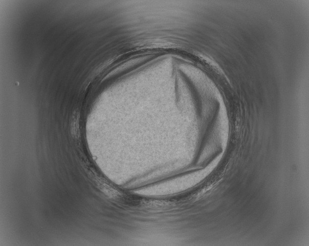 X0000075360873200610061744