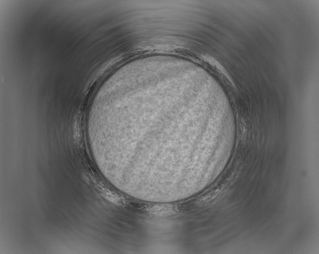 X0000075360874200610061744