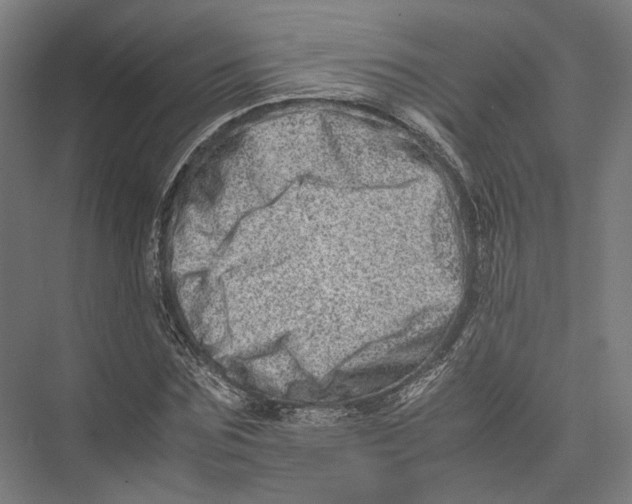 X0000075360875200610061744