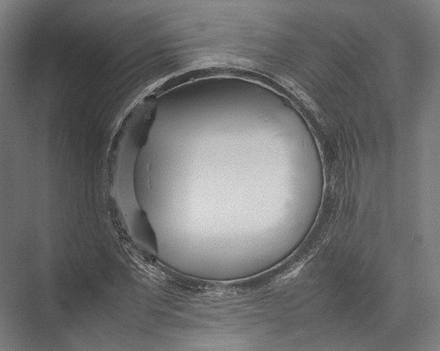 X0000075360877200610061744