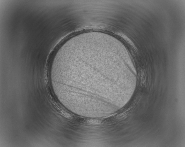 X0000075360878200610061744