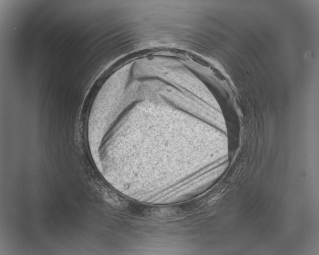 X0000075360879200610061744