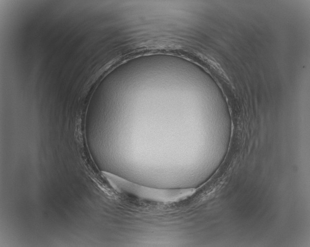 X0000075360881200610061744