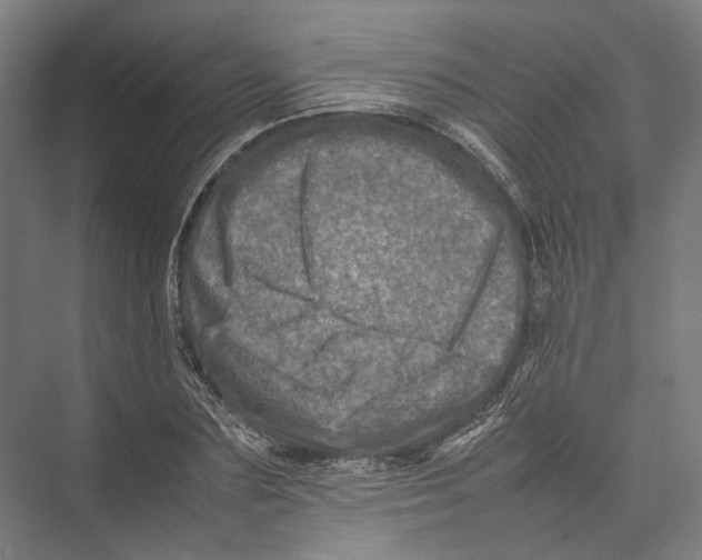 X0000075360883200610061744