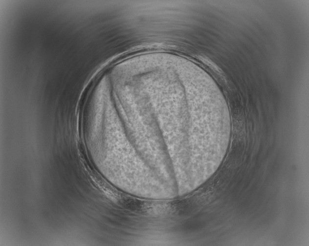 X0000075360886200610061744