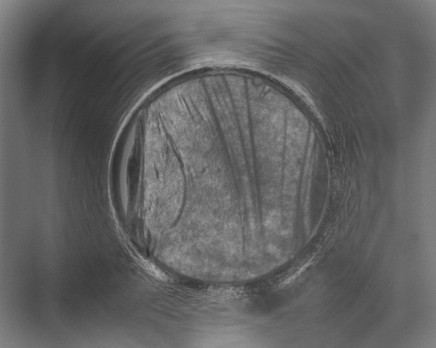 X0000075360887200610061744