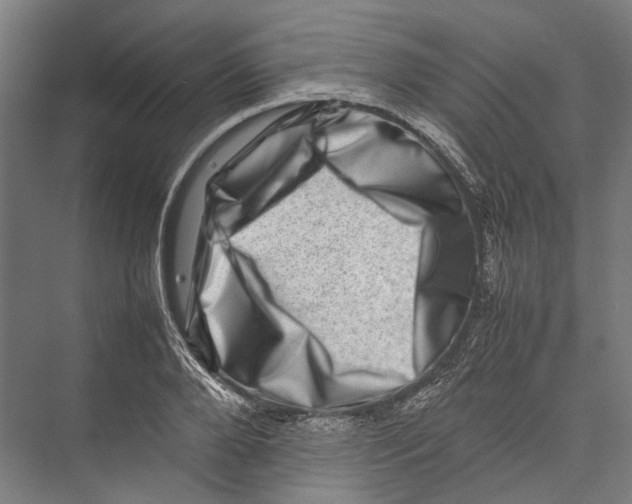 X0000075360888200610061744