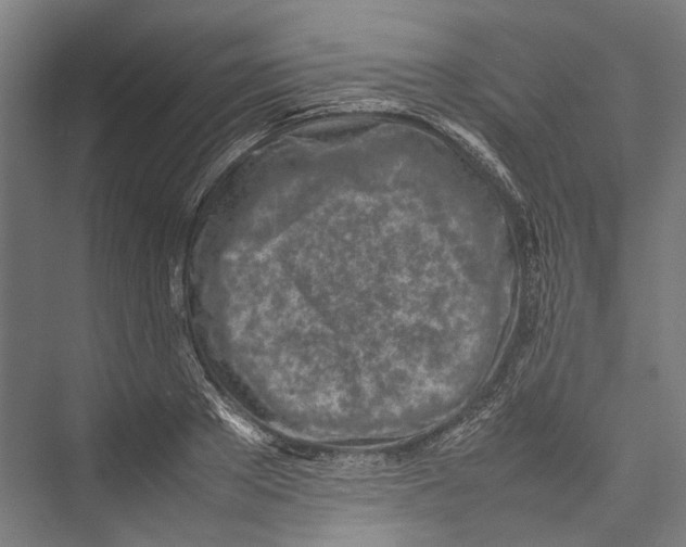 X0000075360889200610061744