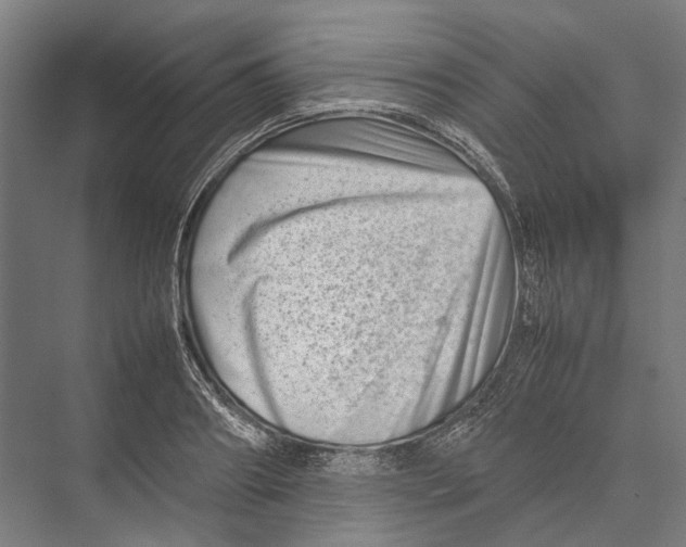 X0000075360890200610061744