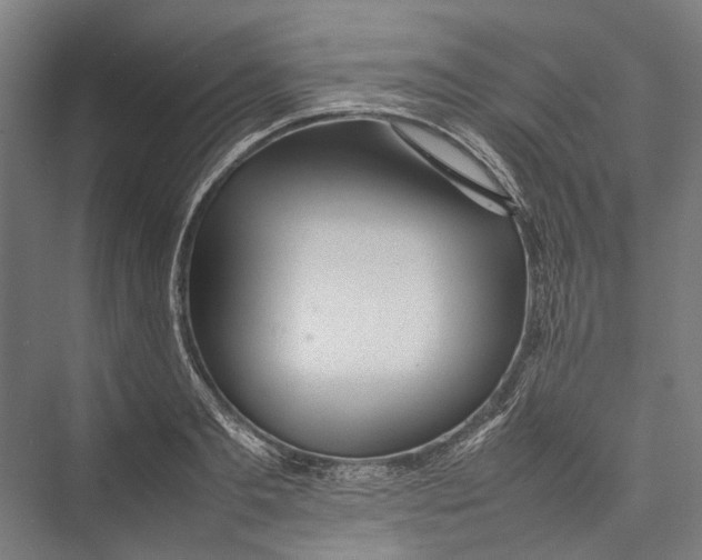 X0000075360893200610061744