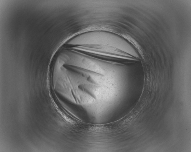 X0000075360894200610061744