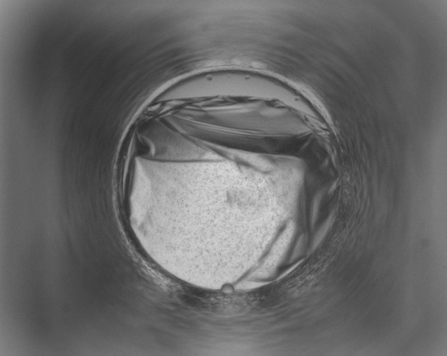 X0000075360895200610061744