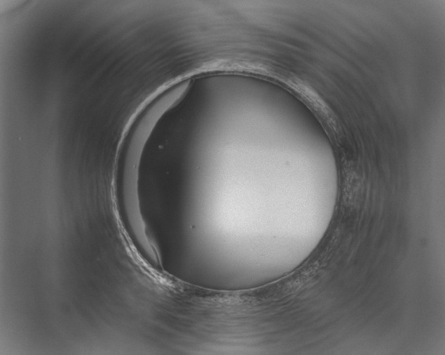 X0000075360896200610061744