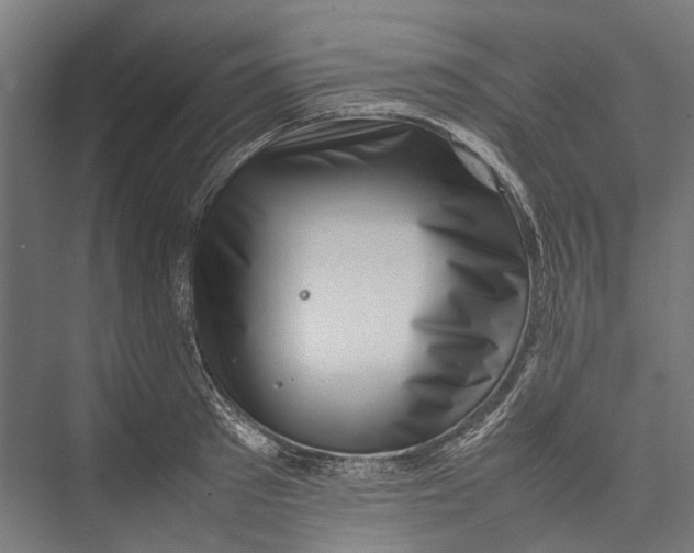 X0000075360897200610061744