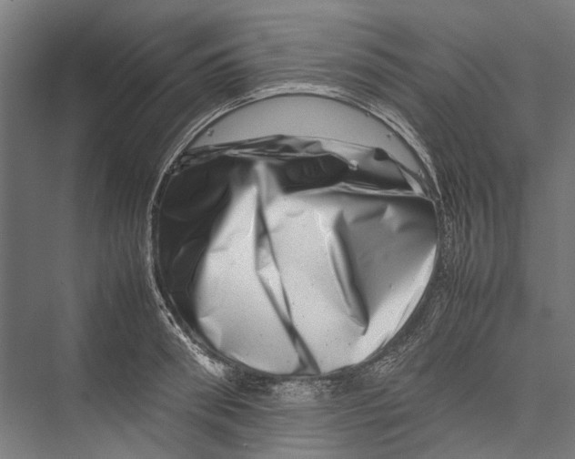 X0000075360898200610061744