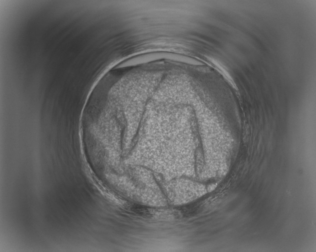 X0000075360899200610061744