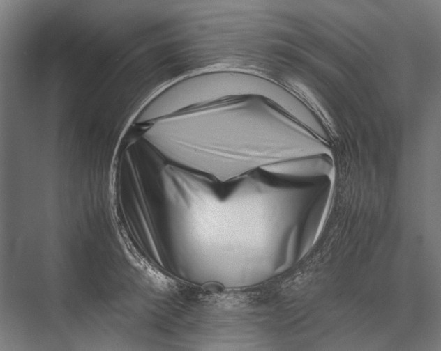 X0000075360900200610061744