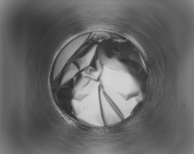 X0000075360901200610061744