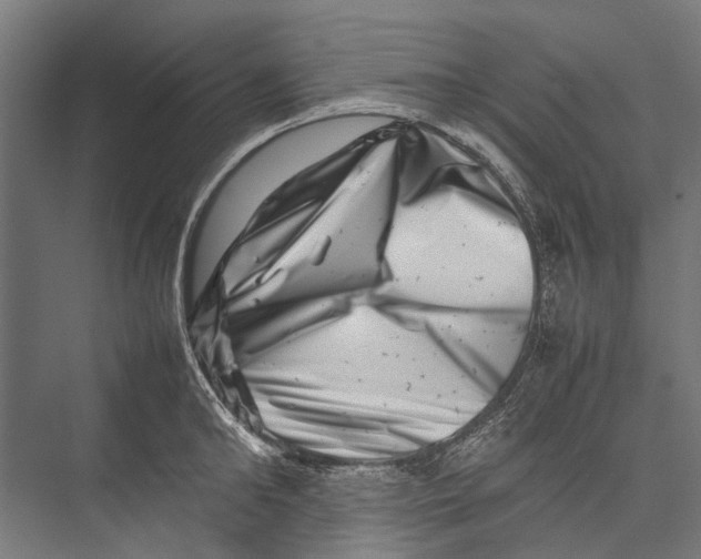 X0000075360902200610061743