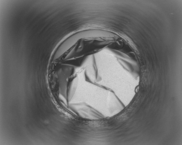 X0000075360904200610061743