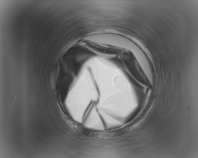 X0000075360905200610061743