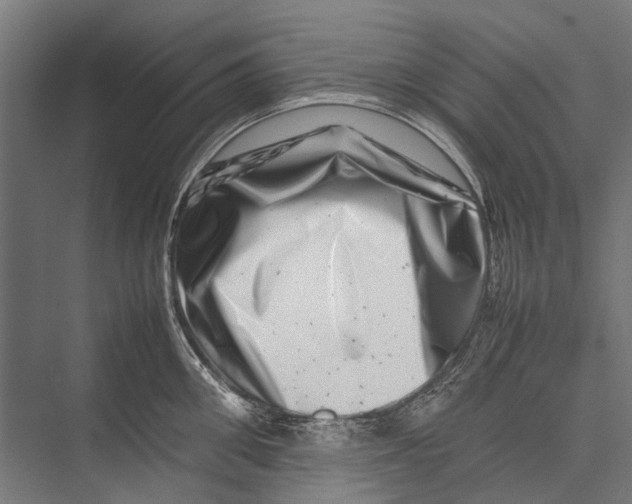 X0000075360906200610061743