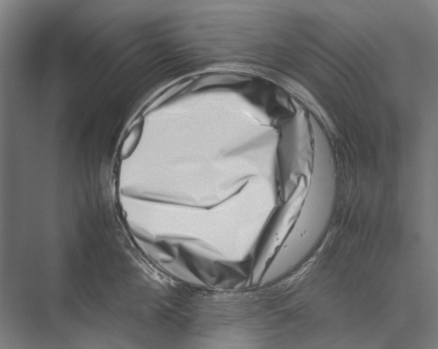 X0000075360908200610061743