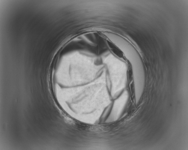 X0000075360909200610061743